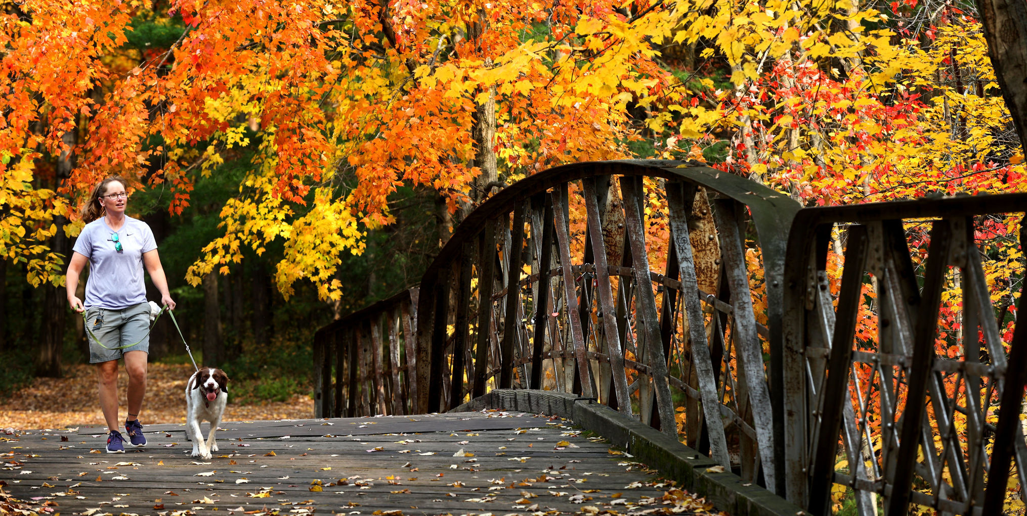 Fall colors